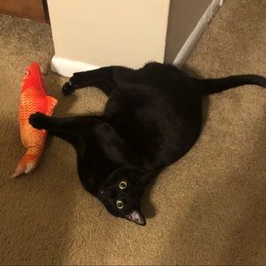 Meet your Posher, Heather